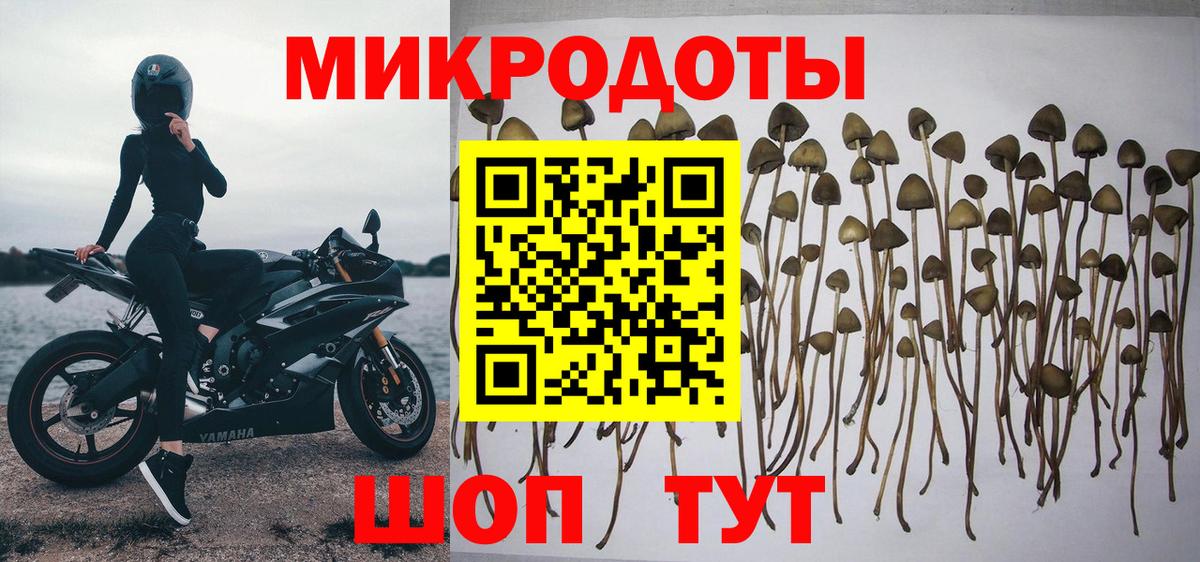 Псилоцибиновые грибы мухоморы  Вход с VPN  Берёзовский  Псилоцибиновые грибы GOLDEN TEACHER 